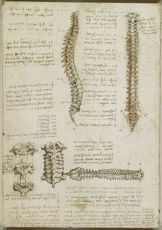 bisturi 3