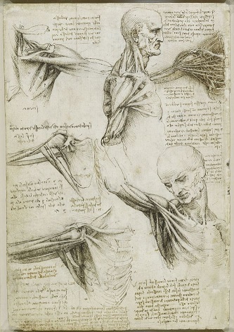 bisturi 5