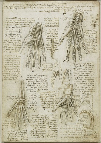 bisturi 7