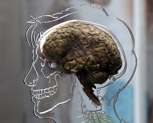 curiosidades 7