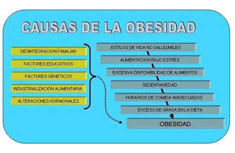 que es la obesidad 4
