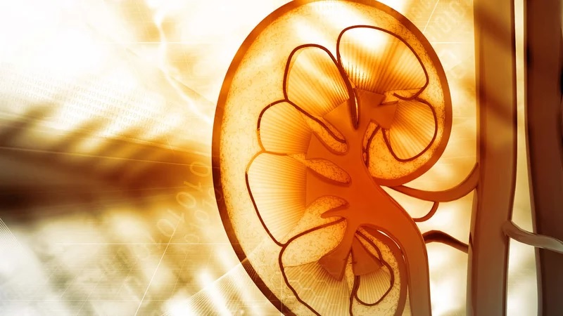 15 Ways High Blood Sugar Affects Your Body 11