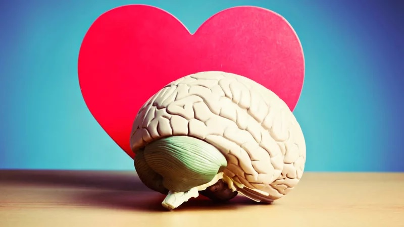 15 Ways High Blood Sugar Affects Your Body 12