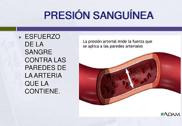 PRUEBAS Y RECOMENDACIONES 1