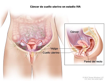 PRUEBAS Y RECOMENDACIONES 4