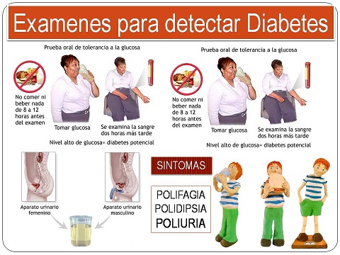 PRUEBAS Y RECOMENDACIONES 6