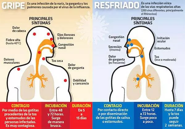 Hay nuevos tratamientos contra la gripe 5