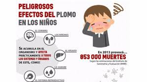 El plomo y la enfermedad cardíaca 11