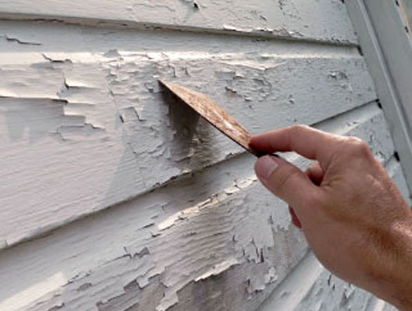 El plomo y la enfermedad cardíaca 5