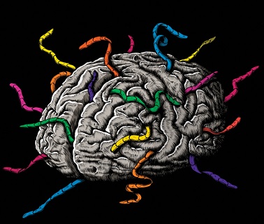 Qué tiene el mayor impacto en la longevidad 5.jpg