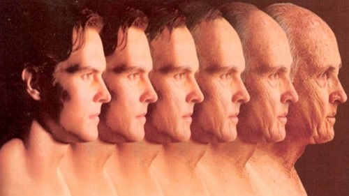 What has the most impact on longevity (2).jpg