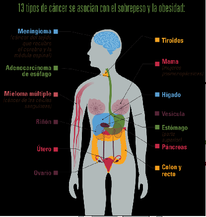 Obesidad asociada a 60 comorbilidades 10.png