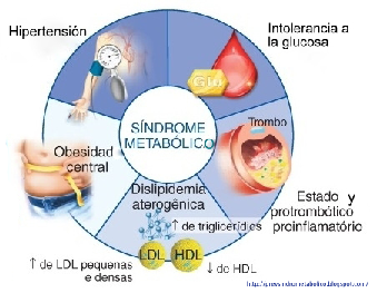 Obesidad asociada a 60 comorbilidades 5.png