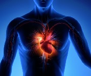 Regular tea drinking linked to better heart health 2.jpg