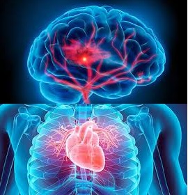 5 numeros relacionados con la saud ideal del corazon 2.jpg