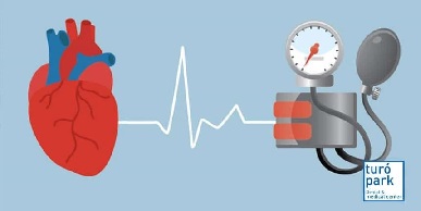 5 numeros relacionados con la saud ideal del corazon 4.jpg