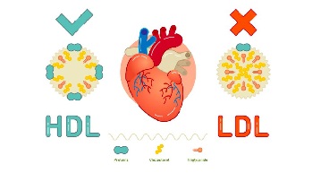 5 numeros relacionados con la saud ideal del corazon 5.jpg