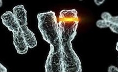 como protege el ejercicio regular contra el deterioro mental 4.jpg