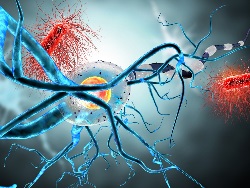 Por qué las mujeres son más propensas a desarrollar la enfermedad de Alzheimer 9.jpg