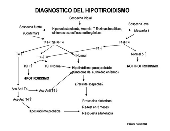 Basicamente las Patologias (Enfermedades) de la Tiroides son 3.jpg