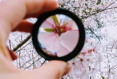 Cómo puedes encontrar la alegría (o al menos la paz) en los momentos difíciles 11.jpg