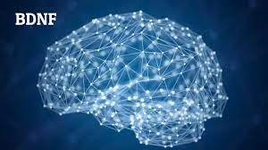 El ejercicio ayuda al corazón de muchas maneras 9.jpg