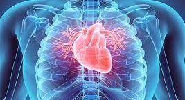 Sustitutos del azúcar Nuevas preocupaciones cardiovasculares 6.jpg