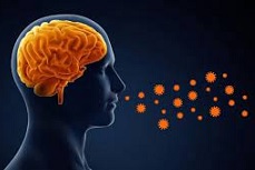 9 COVID-19 daña el cerebro.jpg