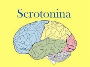 2 Qué antidepresivos son mejores para tratar el dolor crónico.jpg