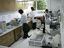 5 Dónde puede hacerse análisis de sangre.jpg