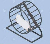 3 Afectan nuestros microbios a nuestro comportamiento.jpg