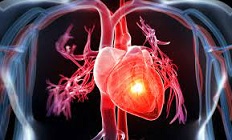 8 El grave problema de las cardiopatías.jpg